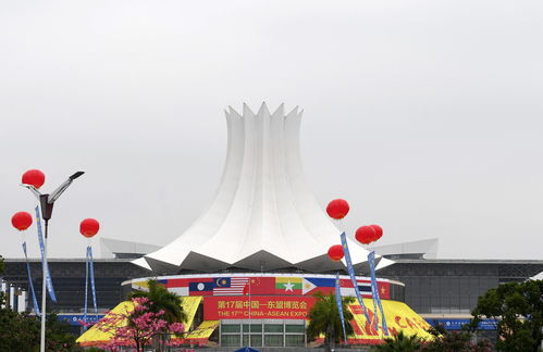 中國(guó)和東盟貿(mào)易逆勢(shì)上揚(yáng) 開(kāi)啟合作共贏新篇章
