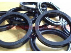 供應(yīng)日本各種進(jìn)口骨架油封 卓越品質(zhì)與可靠性能的選擇